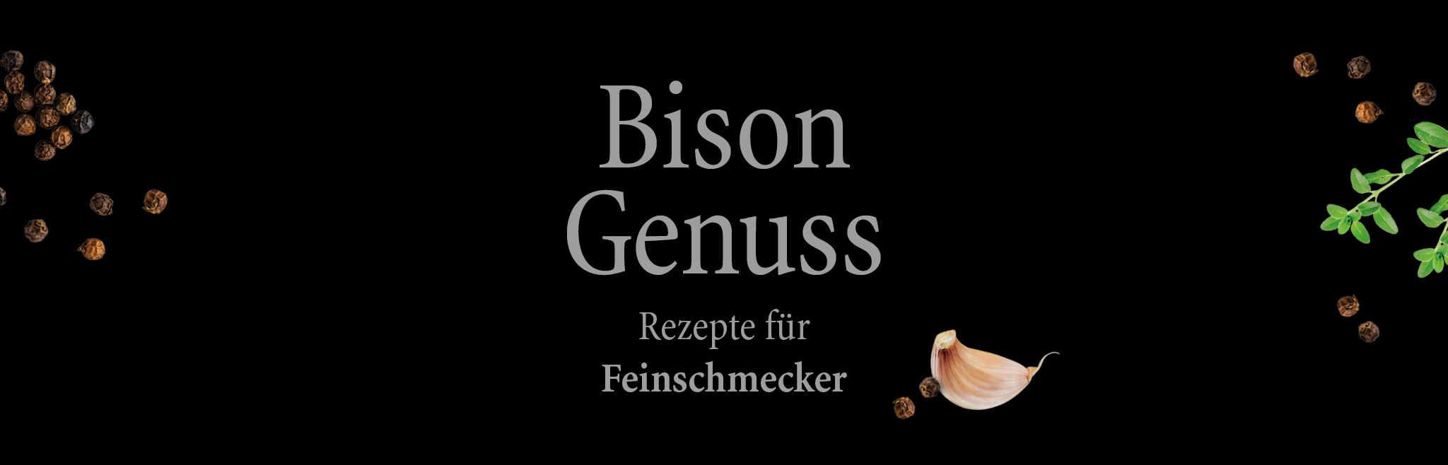 Bison Rezepte